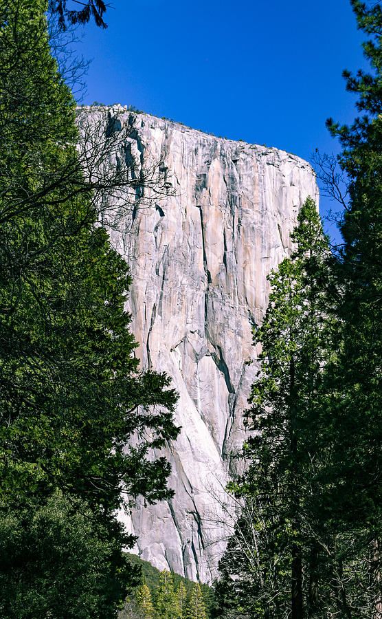 El Capitan Yosemite Photograph by Adam Rainoff