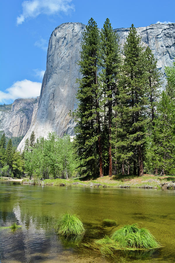 El Capitan Yosemite Photograph by Kyle Hanson