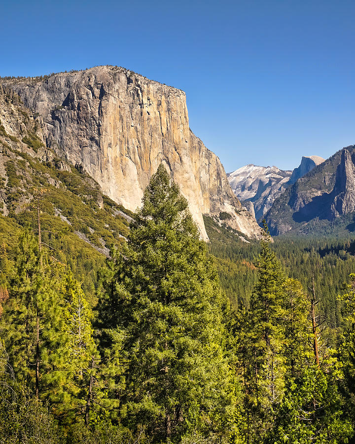 El Capitan Yosemite Photograph by Lutz Baar