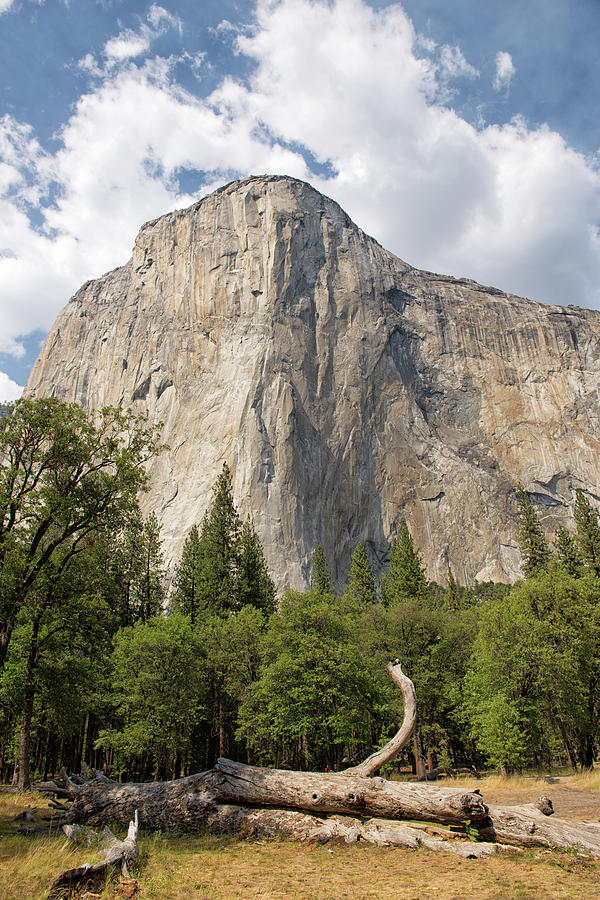 El Capitan - Yosemite National Park - California Photograph by Bruce Friedman