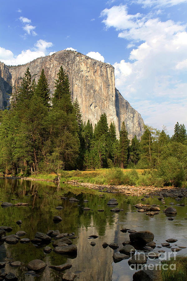 El Capitan Yosemite National Park California by Steven Frame El Capitan Yosemite National Park California by Steven Frame