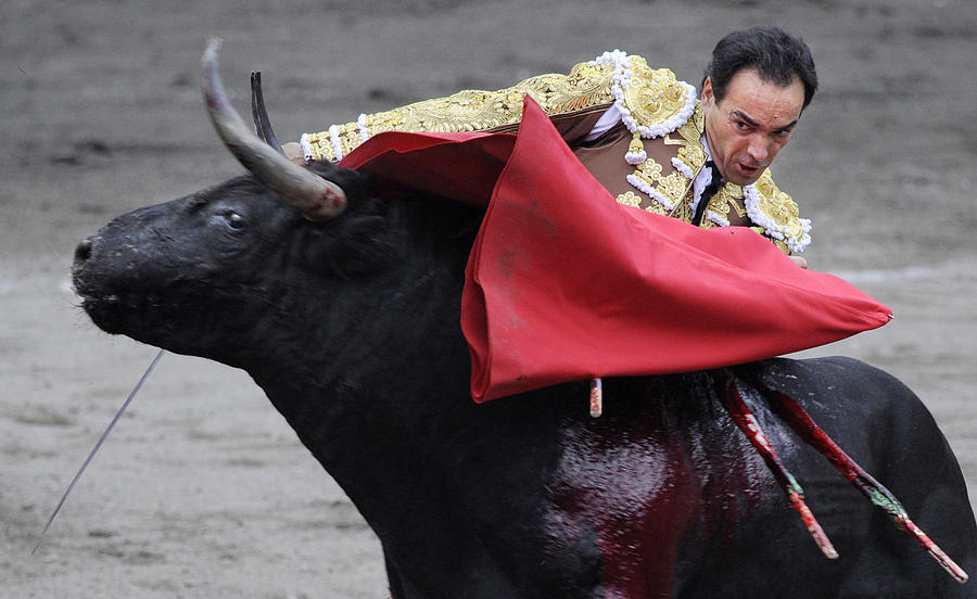 Bull Photograph - El Cid by Rafa Rivas