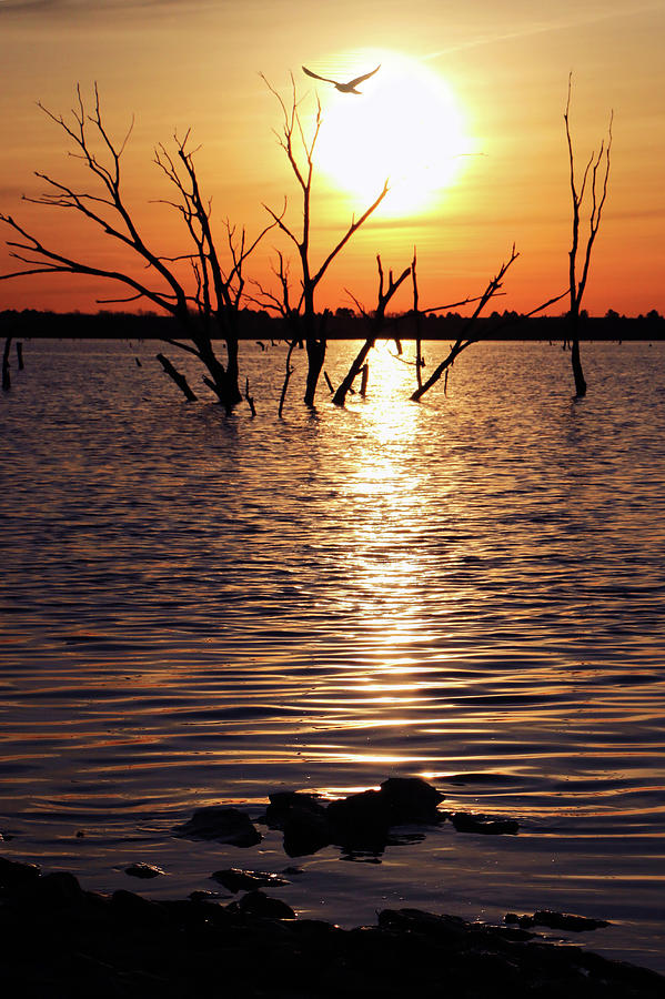 El Dorado Lake Morning Photograph by Christopher McKenzie
