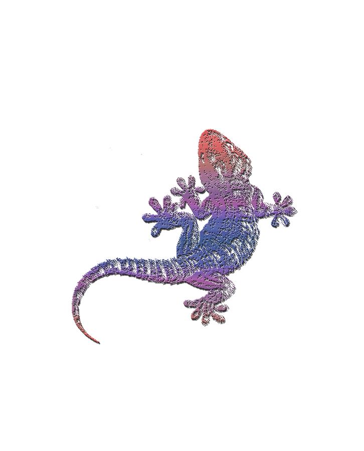 El Gecko Digital Art by Jim Pavelle