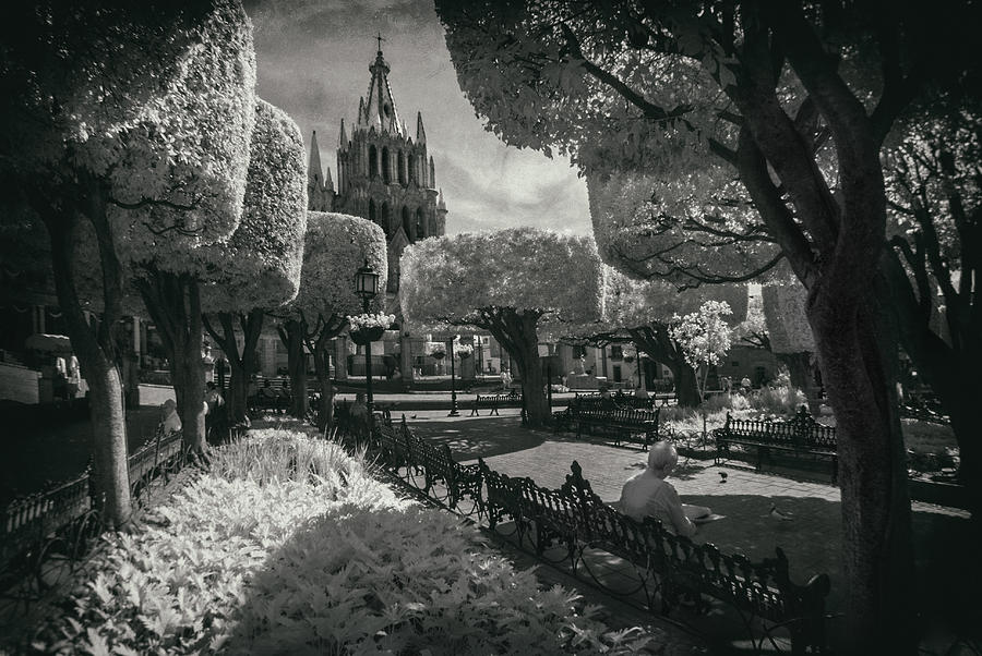 Black And White Photograph - el Jardin by Sean Foster