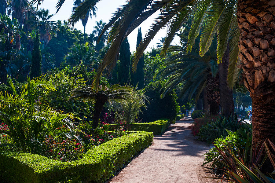 El Parque. Malaga. Spain Photograph by Jenny Rainbow