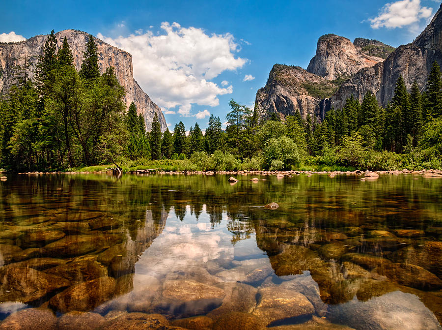 El Reflection Photograph by Bo Nielsen | Fine Art America