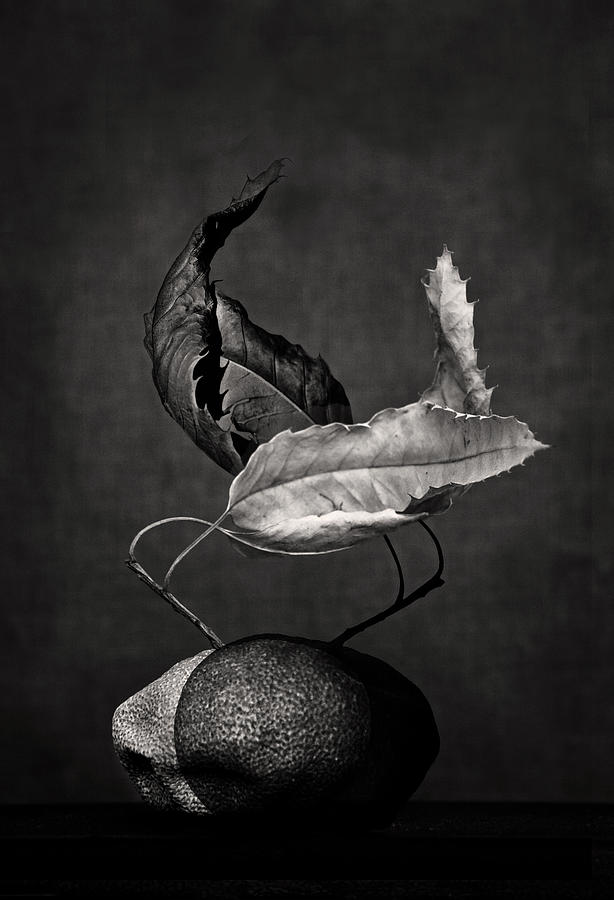 Black And White Photograph - El Tango by Dorit Fuhg
