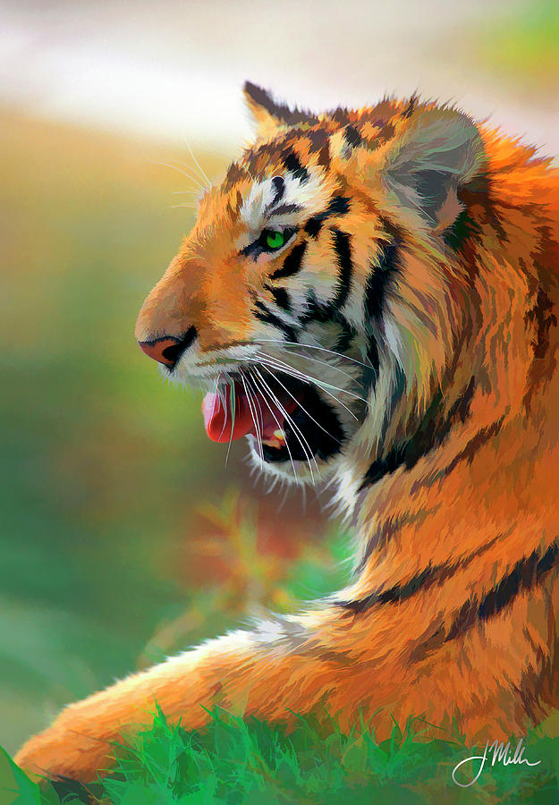 ROAR! — El Tigr3