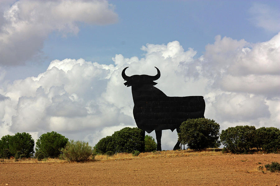 El Toro Photograph - El Toro by Bruce 
