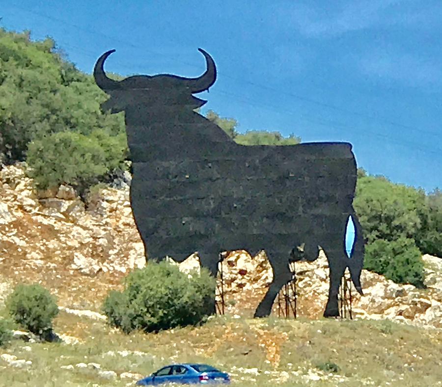 El Toro in the Andalucian Countryside Photograph by Kenlynn Schroeder