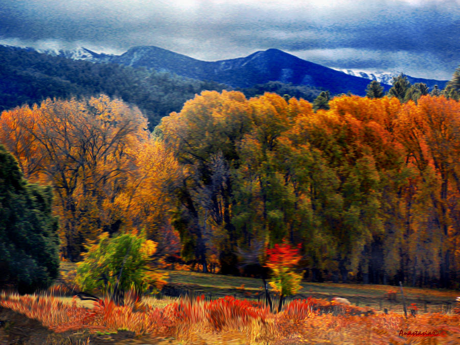 El Valle November Pastures Photograph by Anastasia Savage Ealy
