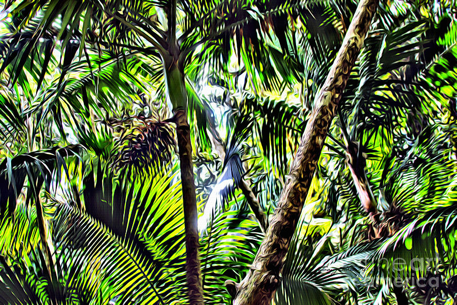 El yunque canopy Photograph by Carey Chen