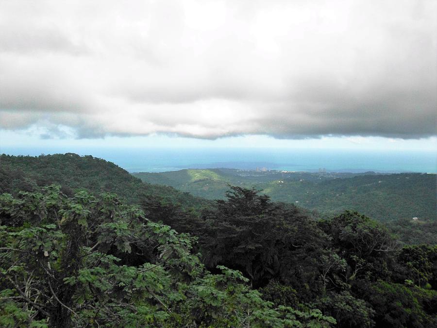 El Yunque National Forest Photograph