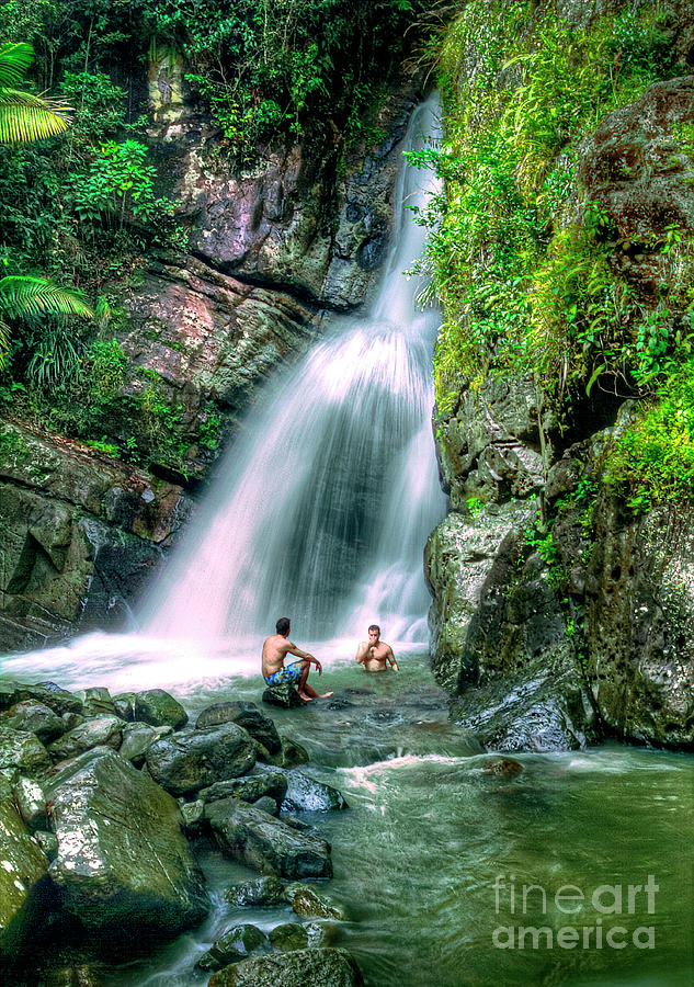 El Yunque Rain Forest Waterfall Photograph by David Zanzinger