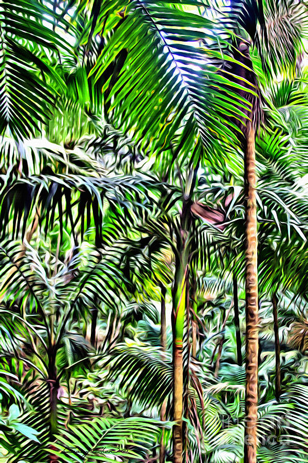 Nature Photograph - El Yunque rainforest 2 by Carey Chen