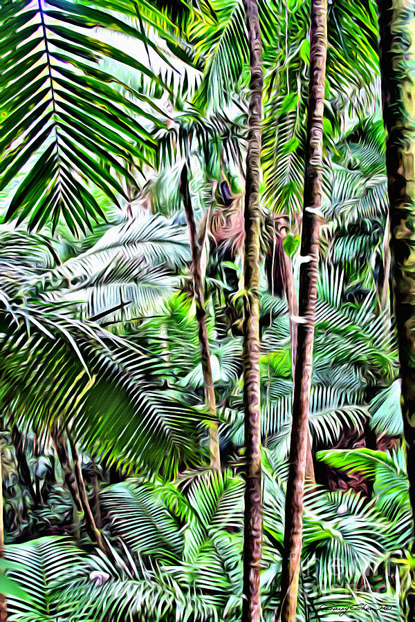 Nature Photograph - El Yunque rainforest 3 by Carey Chen