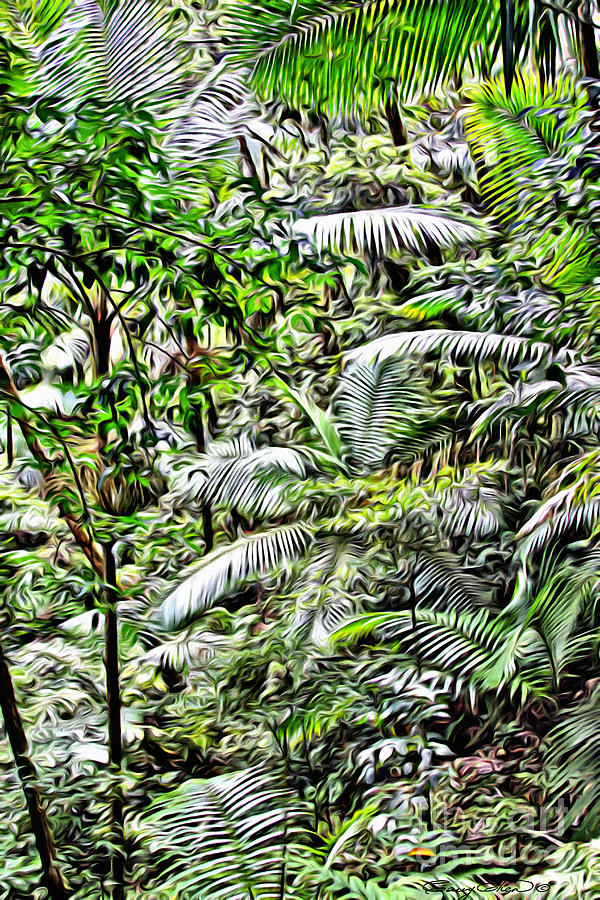 Nature Photograph - El Yunque rainforest 4 by Carey Chen