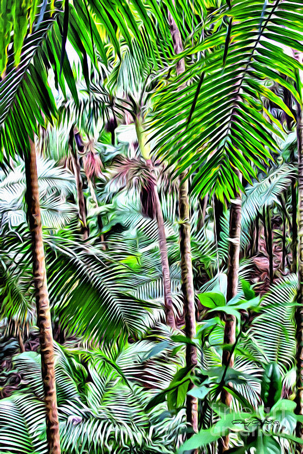 Nature Photograph - El Yunque rainforest 5 by Carey Chen