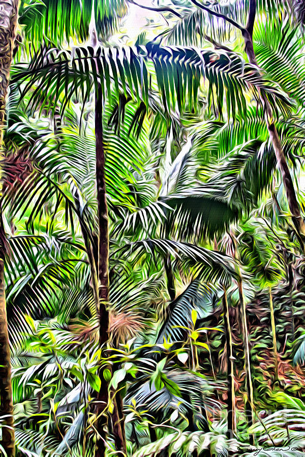 Nature Photograph - El Yunque rainforest 6 by Carey Chen