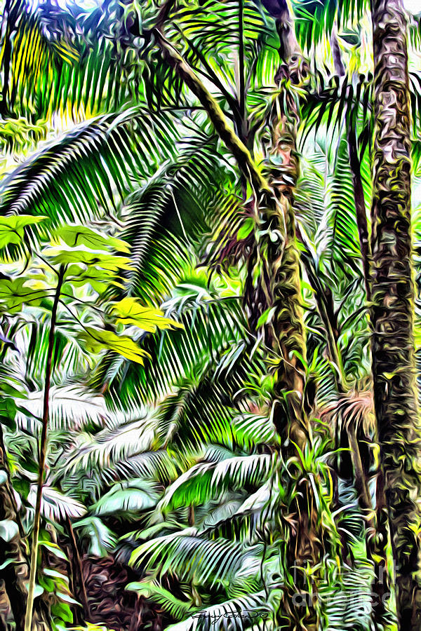 El Yunque rainforest 7  Photograph by Carey Chen