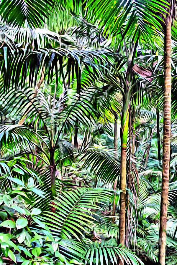 Nature Photograph - El Yunque rainforest by Carey Chen