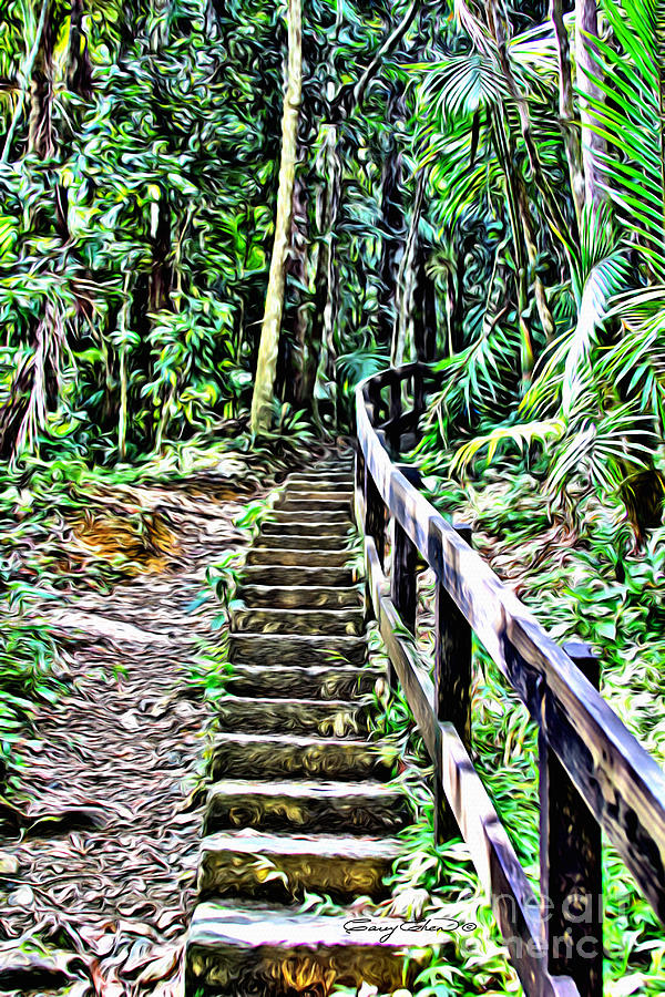 Nature Photograph - El Yunque stairway by Carey Chen