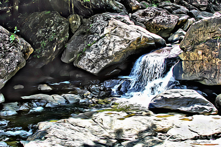 Nature Photograph - El Yunque stream by Carey Chen