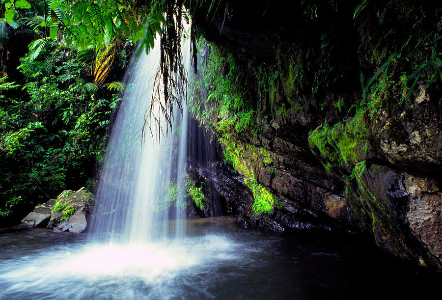 El Yunque Waterfall Photograph by Thomas R Fletcher