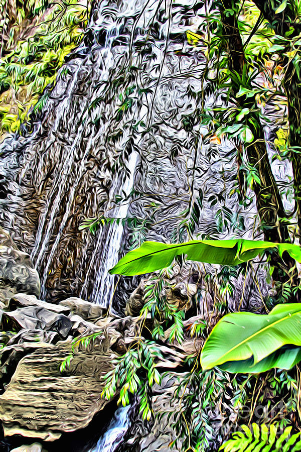 El Yuque Waterfall Photograph