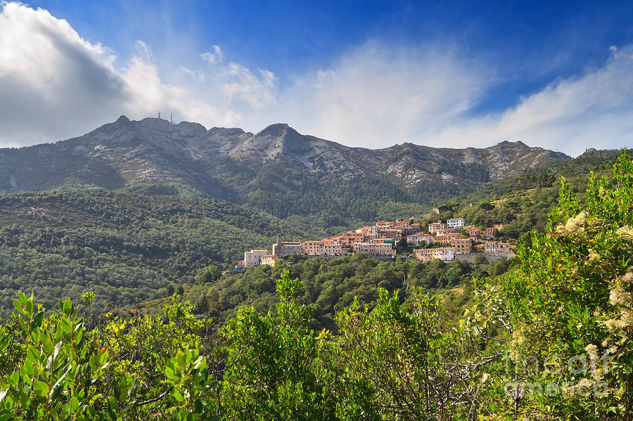 Elba - Marciana village Photograph by Antonio Scarpi