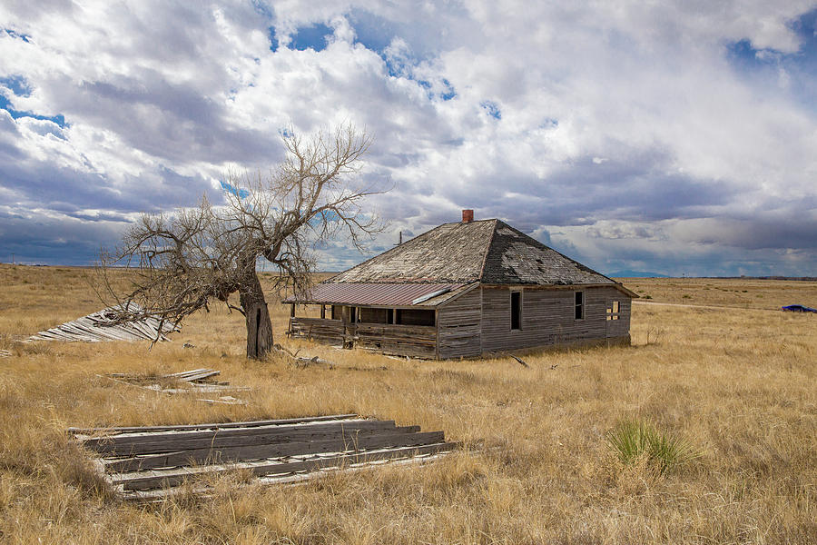 Elbert County Abandoned Homestead Photograph