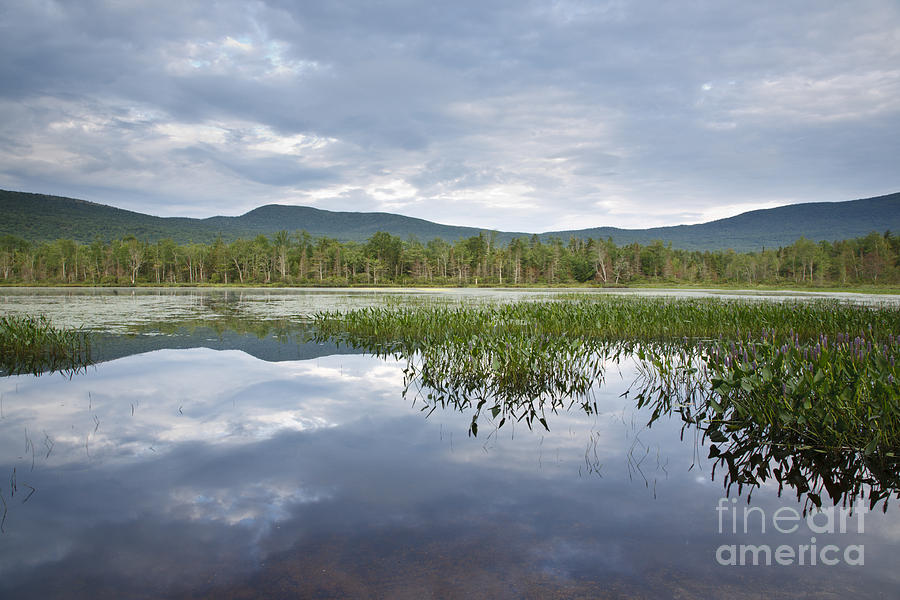 Nature Photograph - Elbow Pond - Woodstock New Hampshire by Erin Paul Donovan
