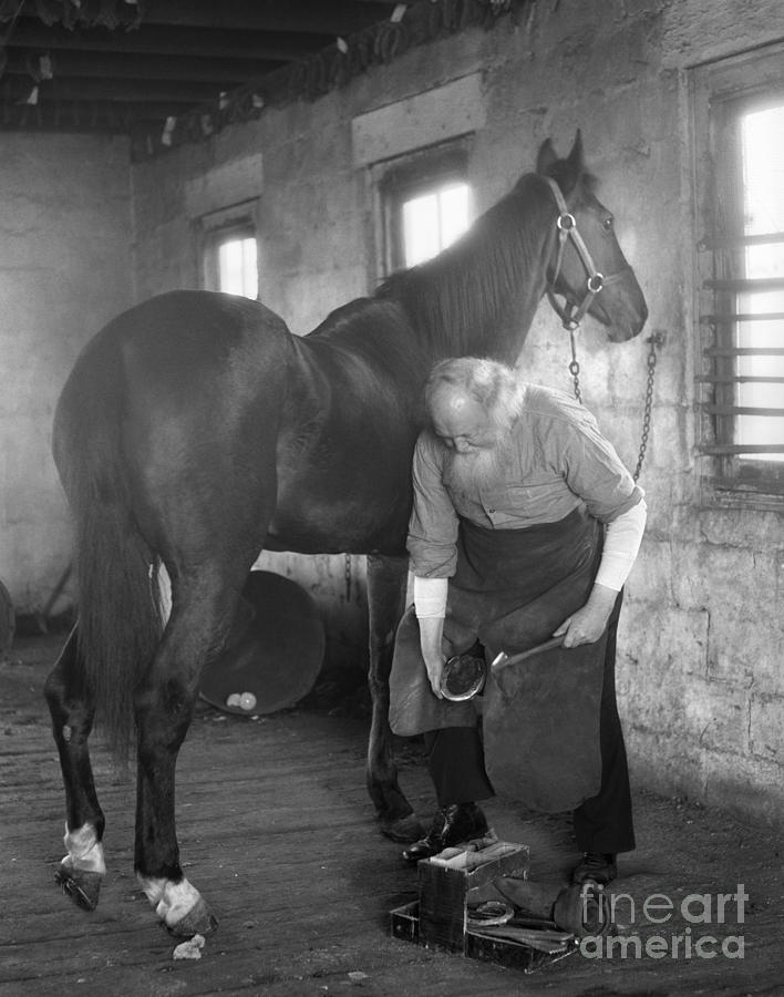 Elderly Blacksmith Shoeing Horse Photograph by H. Armstrong Roberts/ClassicStock