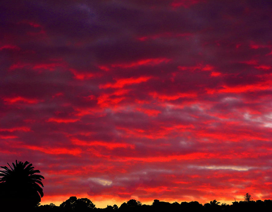 Eldrich Sunset Photograph by Mark Blauhoefer