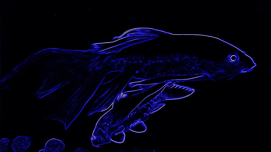 Electric blue fish Digital Art by Silpa Saseendran