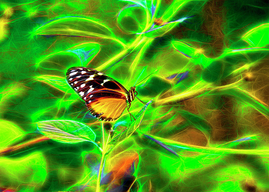 Electric Butterfly Digital Art by James Steele