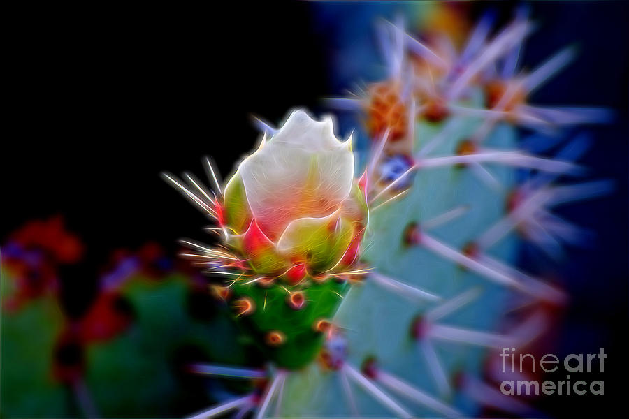 Landscape Photograph - Electric Cactus Rose by Berta Keeney