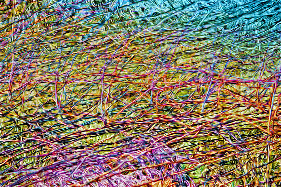 Electric Fence Digital Art by Becky Titus
