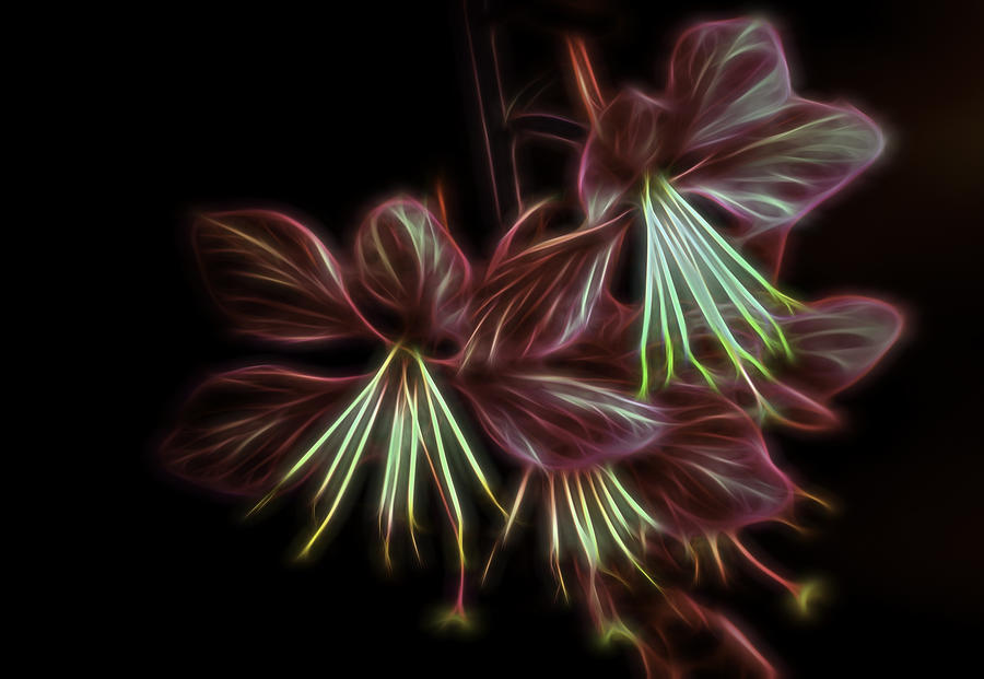 Electric Floral  Photograph by Debra Forand