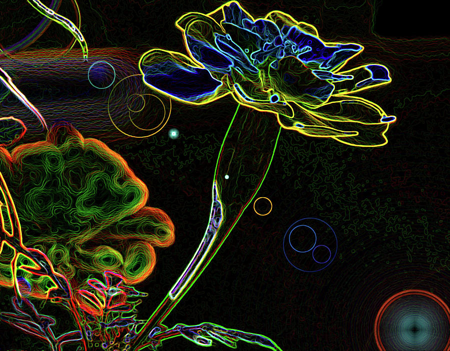 Nature Digital Art - Electric Flower by Art By ONYX