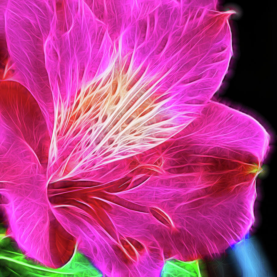 Electric Flower Photograph by Karen Smale