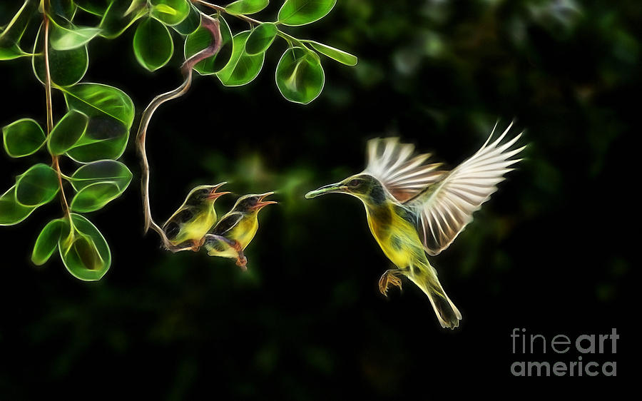 Electric Hummingbird Wall Art Collection Mixed Media by Marvin Blaine