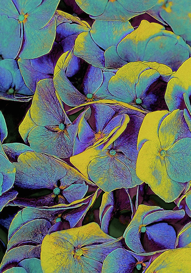 Electric Hydrangea by Susan Maxwell Schmidt Electric Hydrangea by Susan Maxwell Schmidt