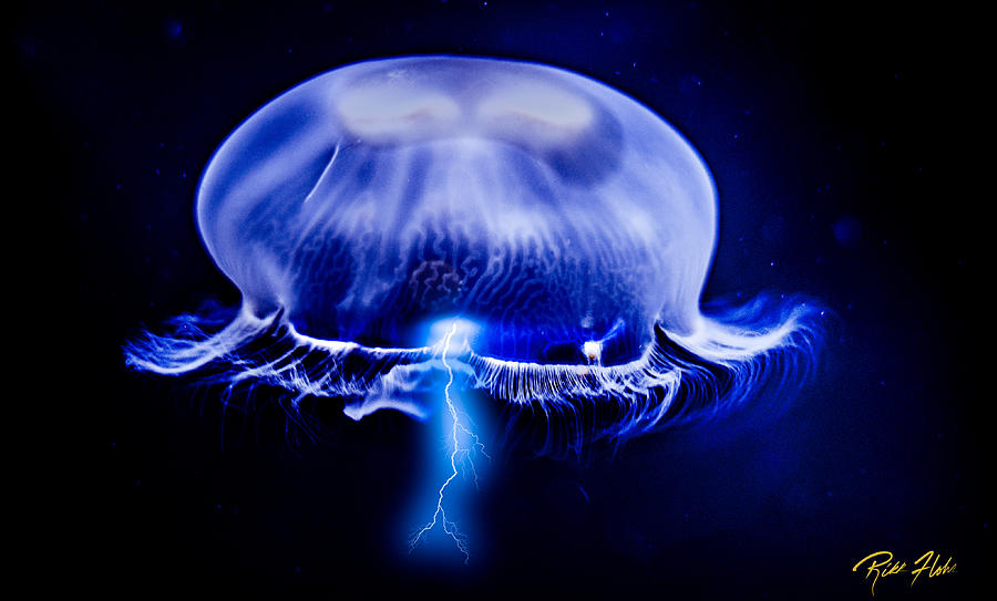 Electric Jelly Photograph by Rikk Flohr
