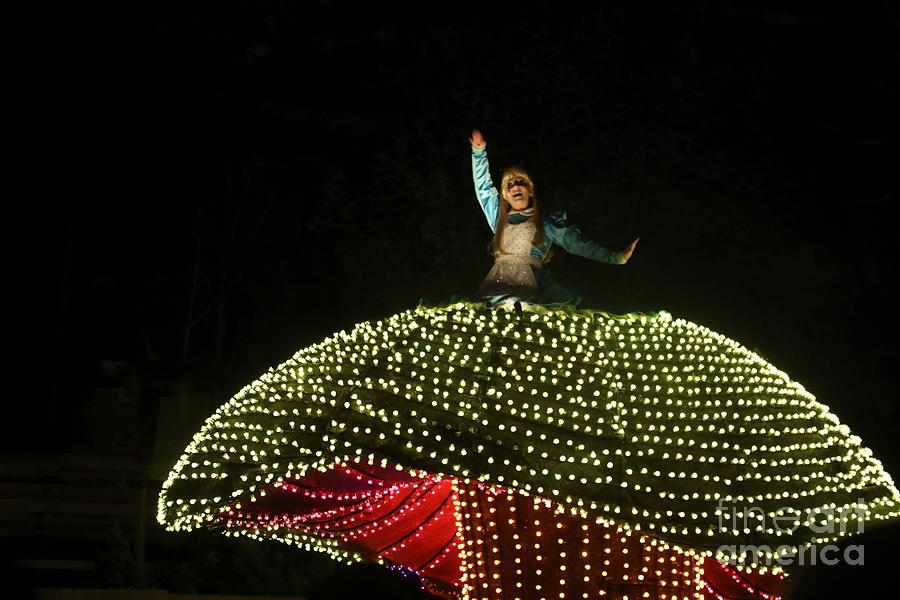 Electric Light Parade Alice in Wonderland Disney Photograph by Chuck ...