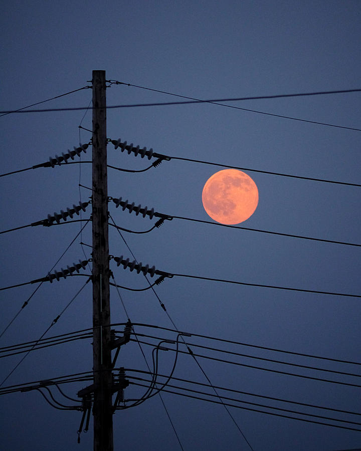 Electric Moon Photograph by Richard Reeve