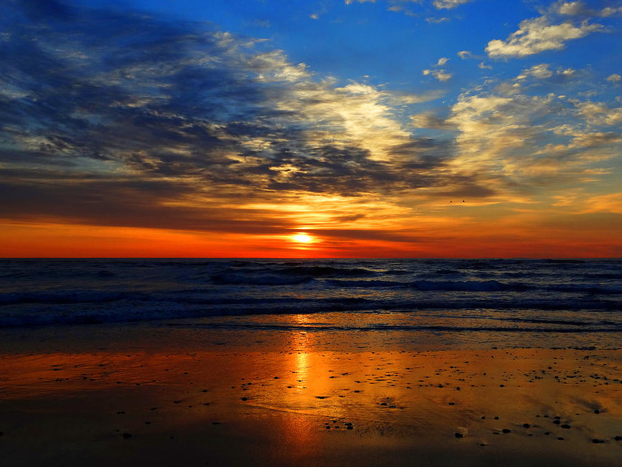 Beach Photograph - Electric Golden Ocean Sunrise by Dianne Cowen Cape Cod Photography