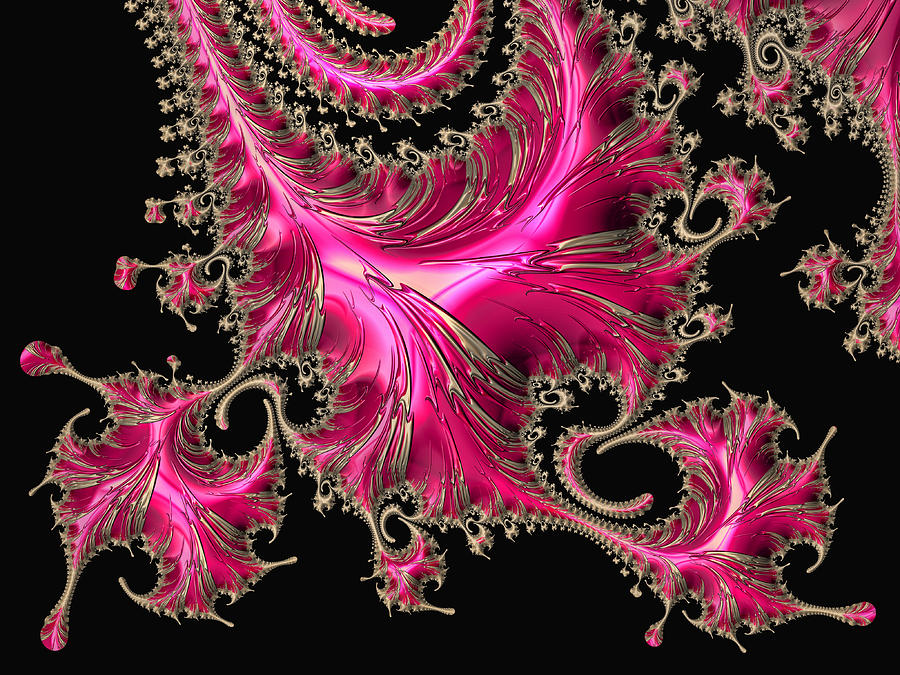 Electric Pink - Fractal Art Digital Art by HH Photography of Florida