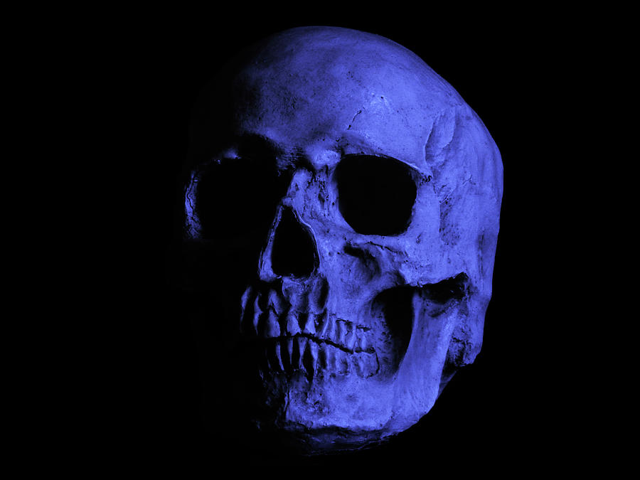 Electric Skull Photograph by Mark Blauhoefer